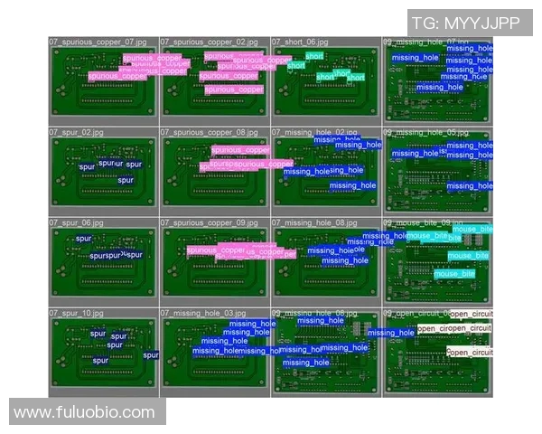 数据分析揭示北京飞盘队团队协作表现的关键因素与提升策略