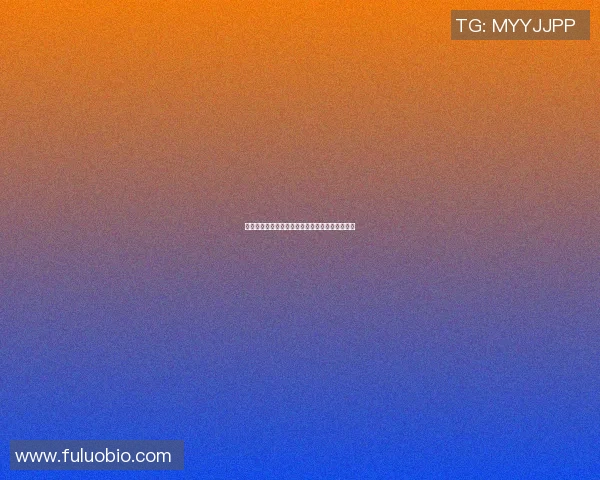 上海乒乓球队状态分析与表现评估大满贯赛事回顾