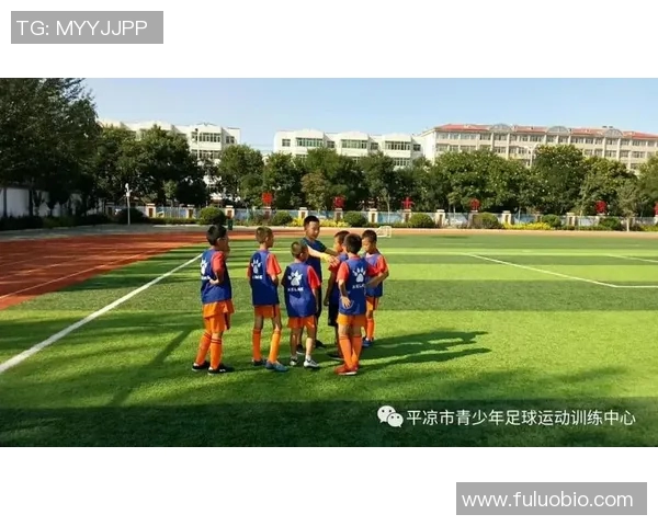 南京足球队心理素质分析与提升策略探讨